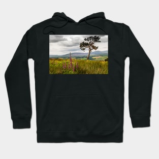 Lone Tree and Cheviots Hoodie